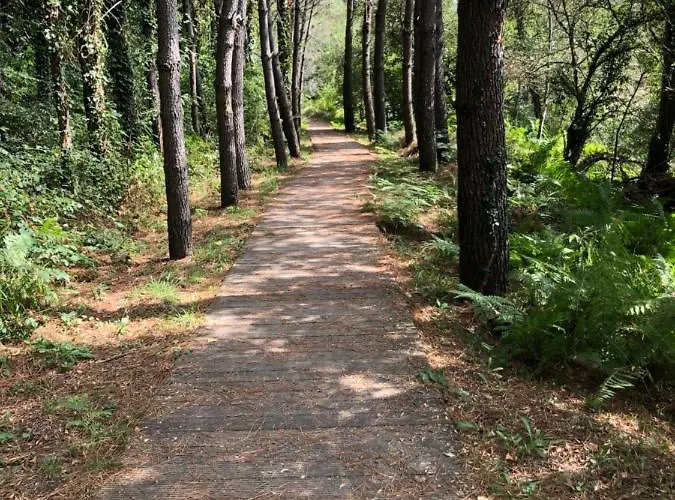 Portada Do Cuco Mondariz